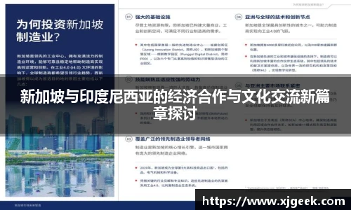 新加坡与印度尼西亚的经济合作与文化交流新篇章探讨